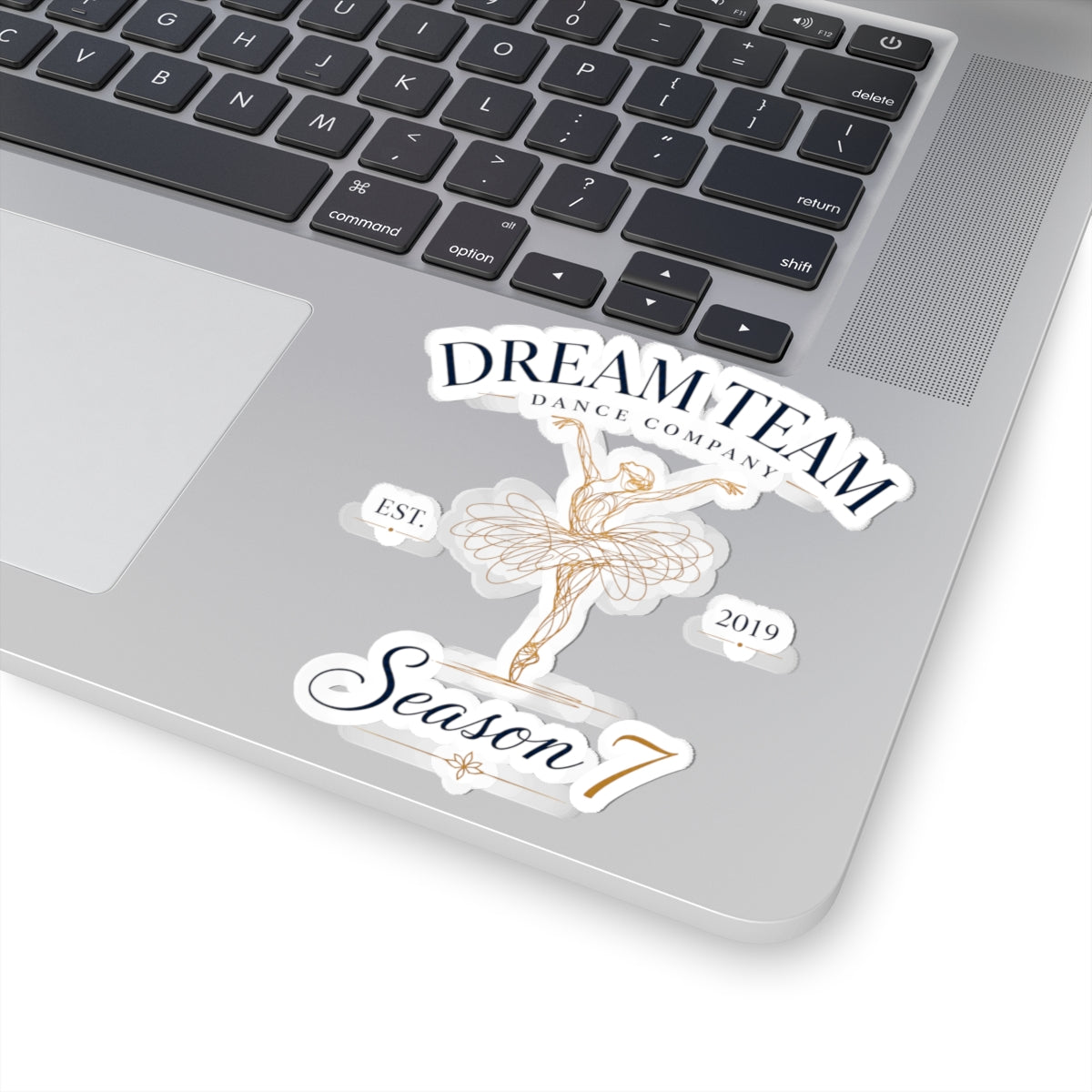 DTDC - Logo Sticker (Multiple Sizes)