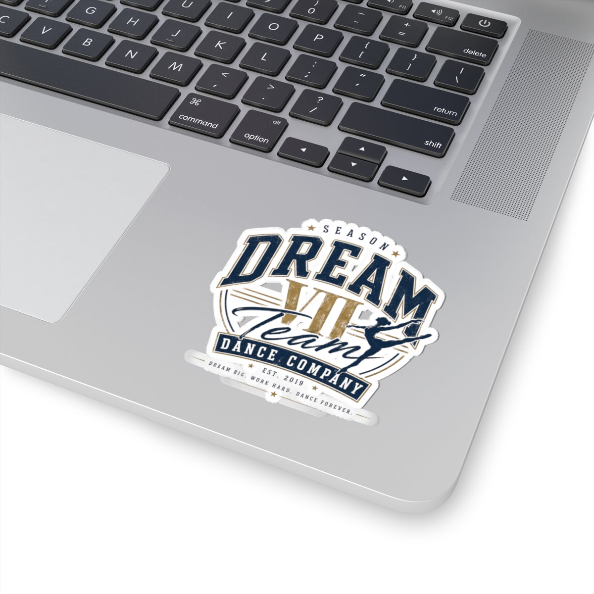 DTDC - Logo Sticker (Multiple Sizes)
