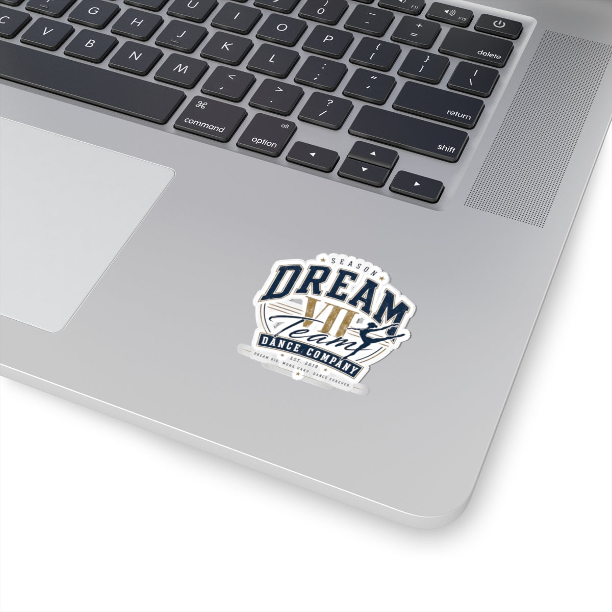 DTDC - Logo Sticker (Multiple Sizes)