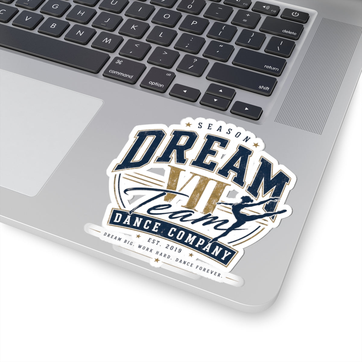 DTDC - Logo Sticker (Multiple Sizes)