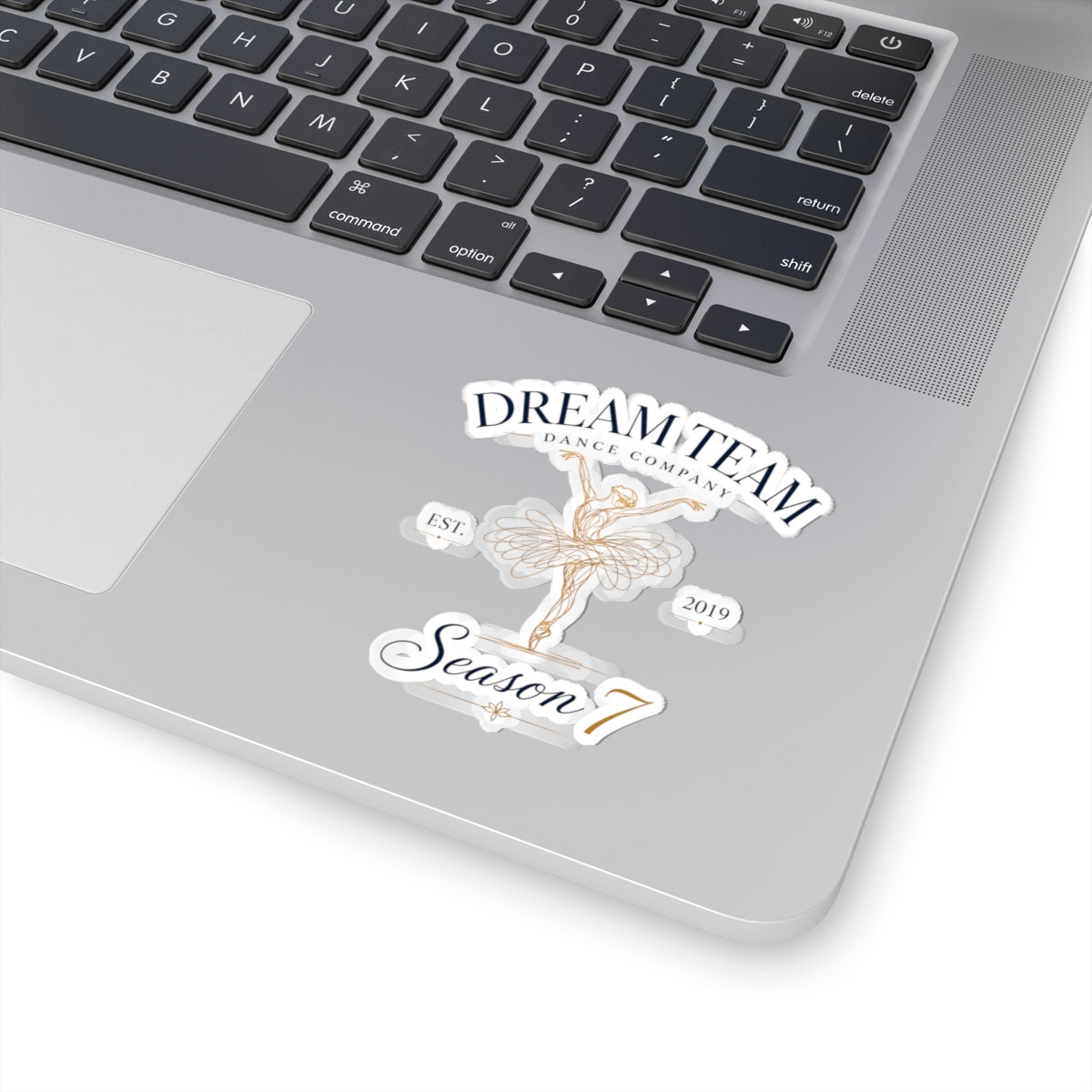 DTDC - Logo Sticker (Multiple Sizes)