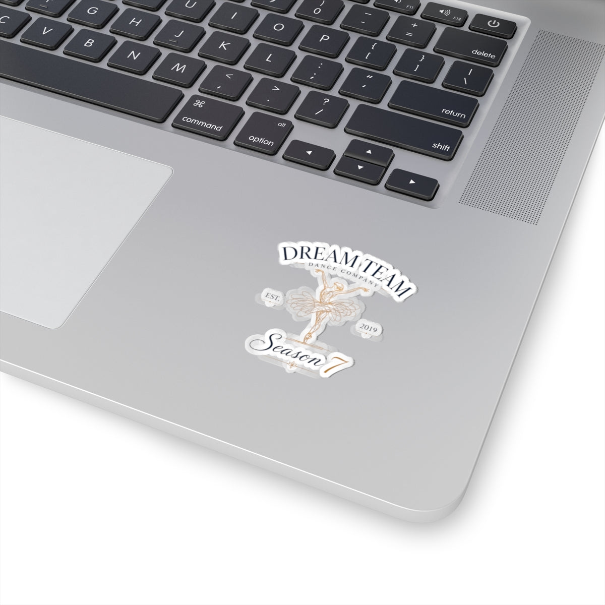 DTDC - Logo Sticker (Multiple Sizes)