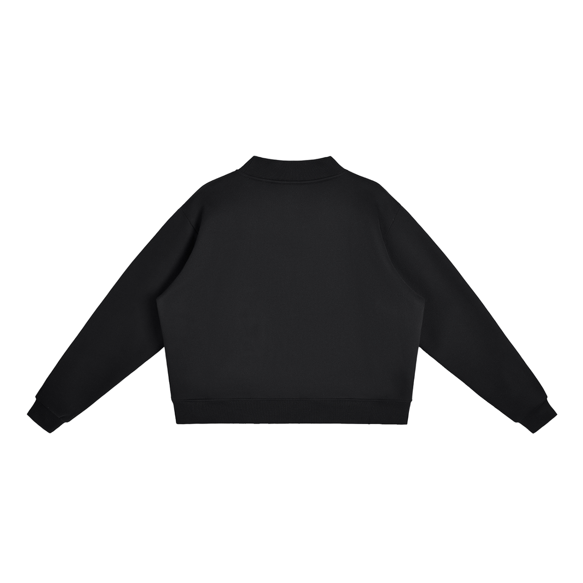 TPDC Winter - Unisex Fleece Mock-Neck Crew Sweatshirt