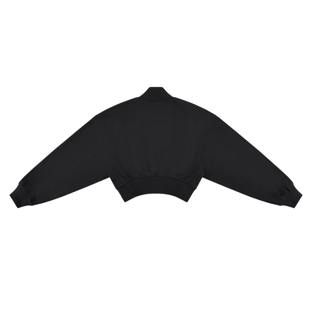 TPDC - Women's Crop Mock Neck Sweatshirt