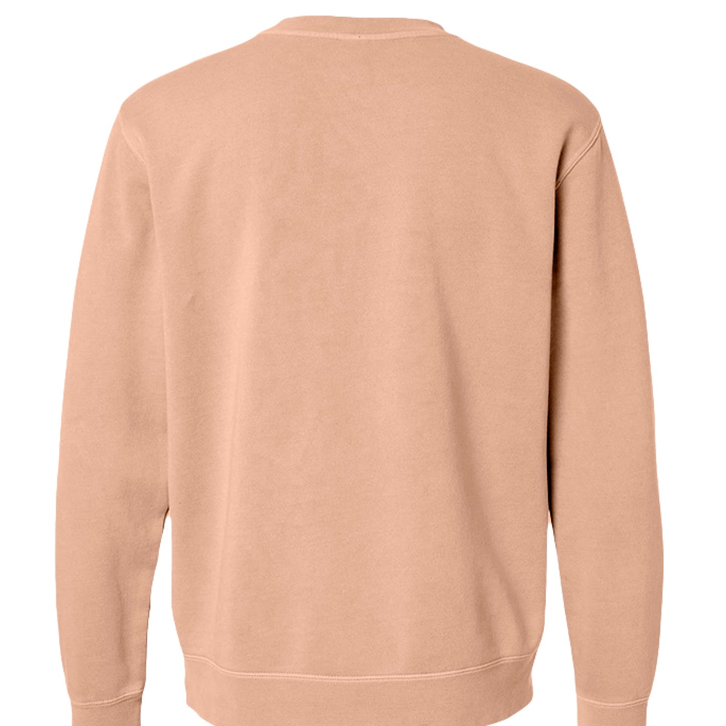 Pigment Dusty Pink - BACK