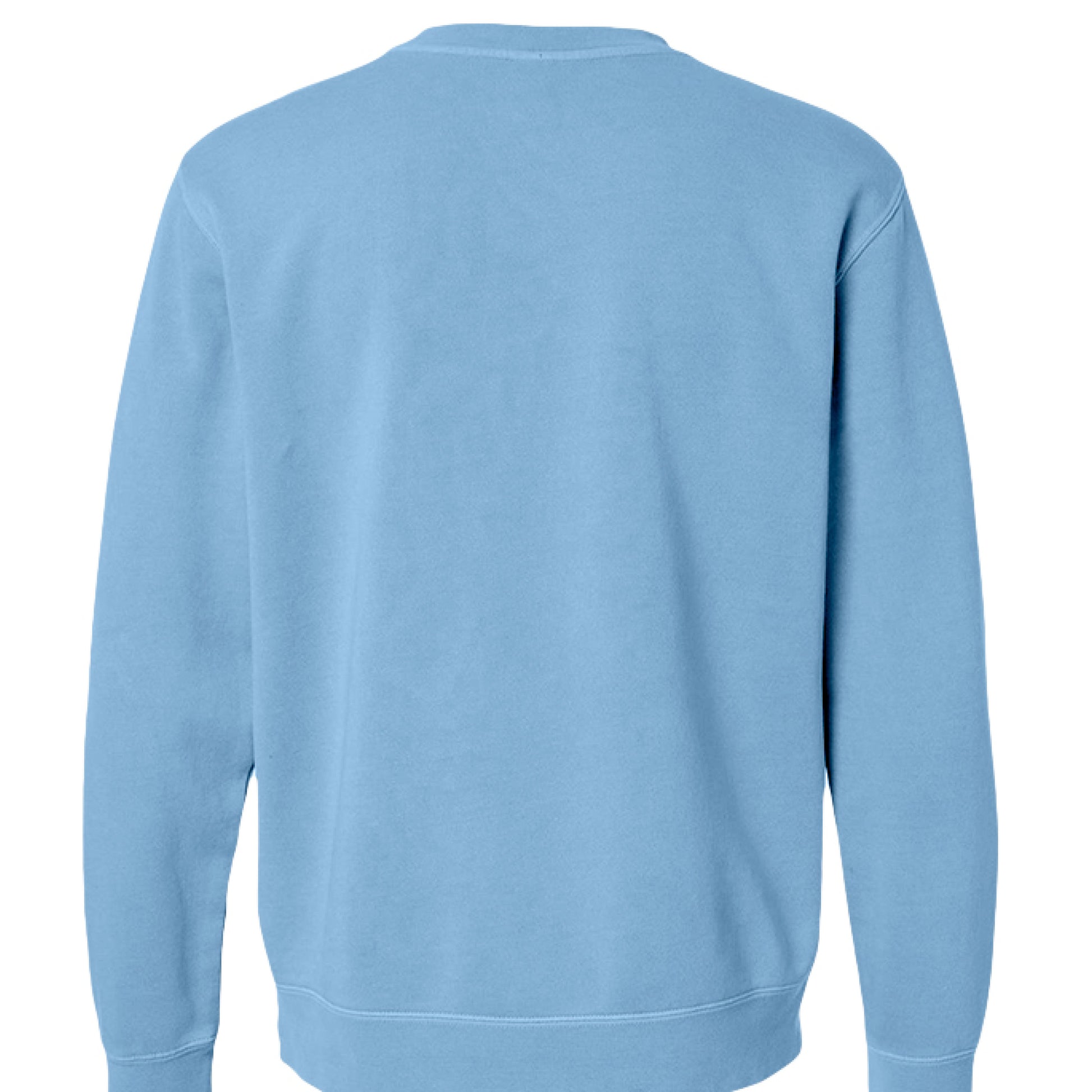Pigment Light Blue - BACK